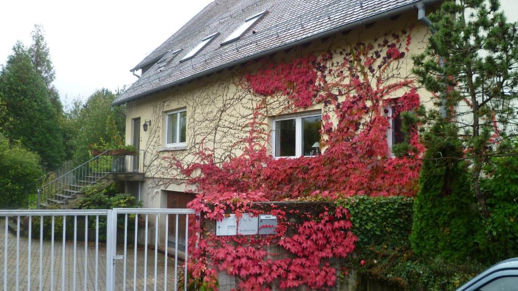 Bed and Breakfast Bois Joli de la Freyère Hindisheim Esterno foto